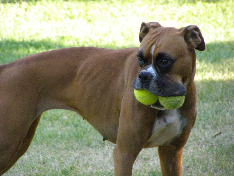 Foto: Aemi-míčky jsou jen moje