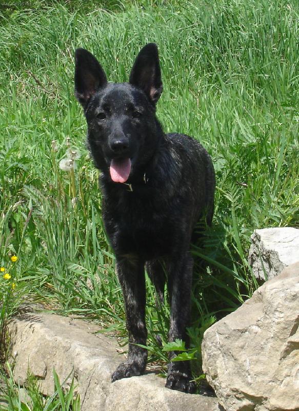 Foto: Eržika-na procházce