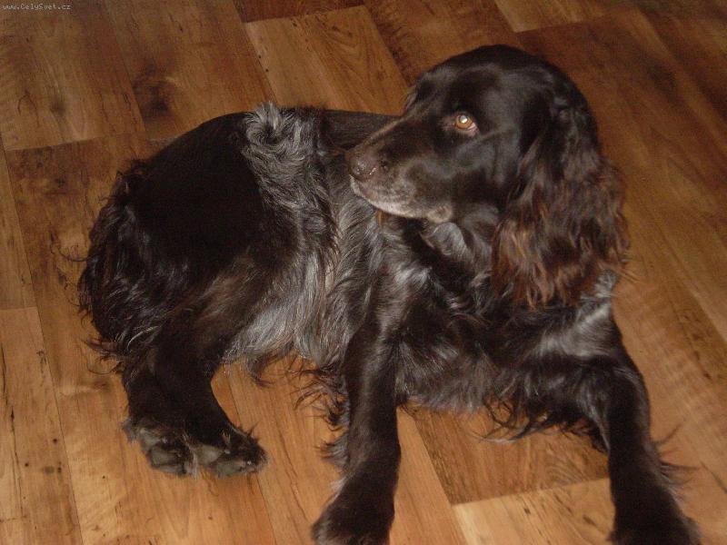 Foto: Gábi z ostrůvku