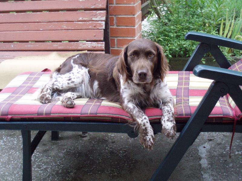 Foto: zasloužený odpočinek-Lucinka