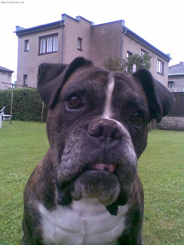 Foto: Bárny (12 let)-To je můj nejmilovanější dědek..:o)