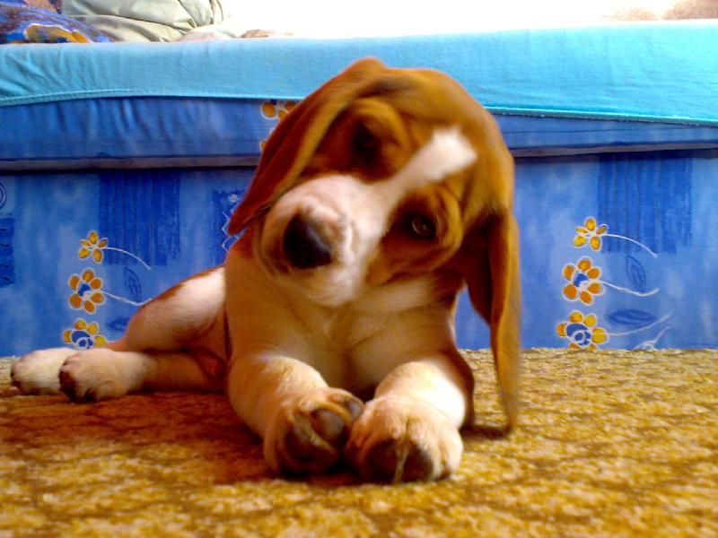 Foto: Maximilián-Pohodička celý den