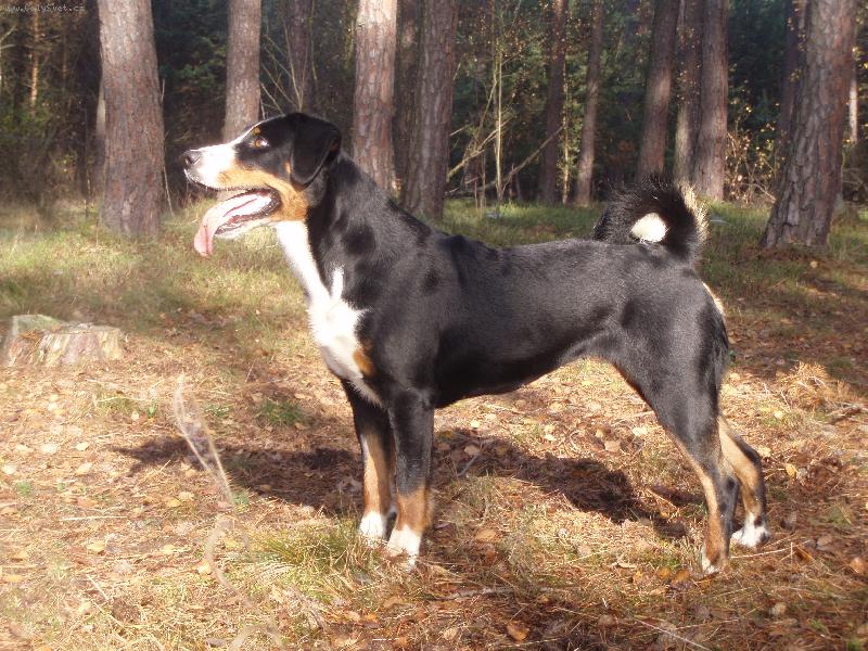 Foto: Asta Dakam-Asta Dakam  2 roky