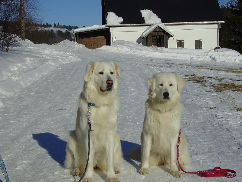 Foto: Nedělní vycházka