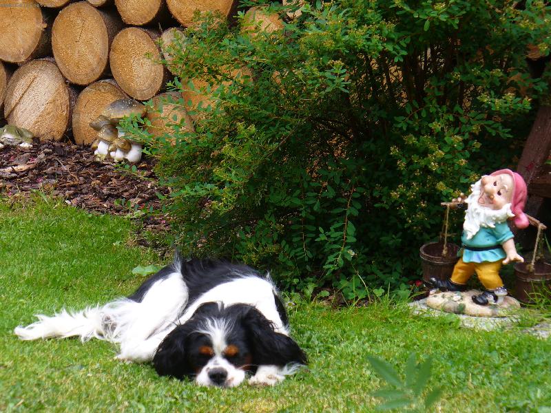 Foto: Míša-Míša a trpaslík