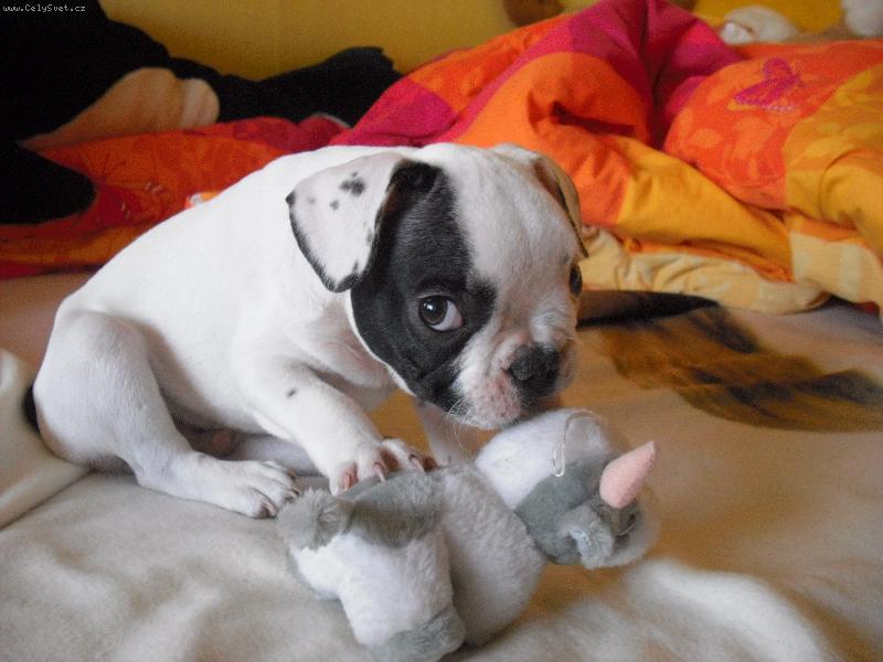 Foto: Náš Daneček