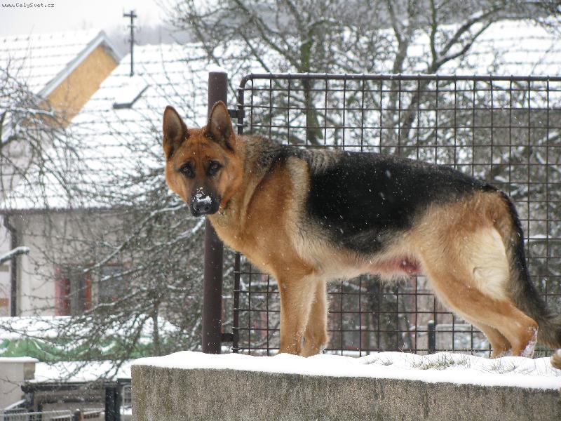 Foto: Kelly-na zahradě