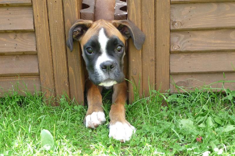 Foto: Ania mezi květináči