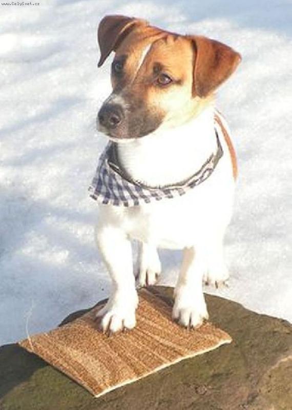 Foto: Happy-Pepíček-modelka