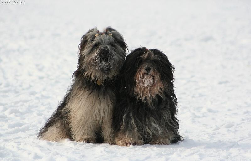 Foto: Namík a Asánek