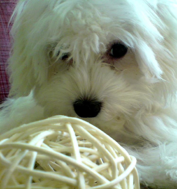 Foto: Naše Jessynečka :)