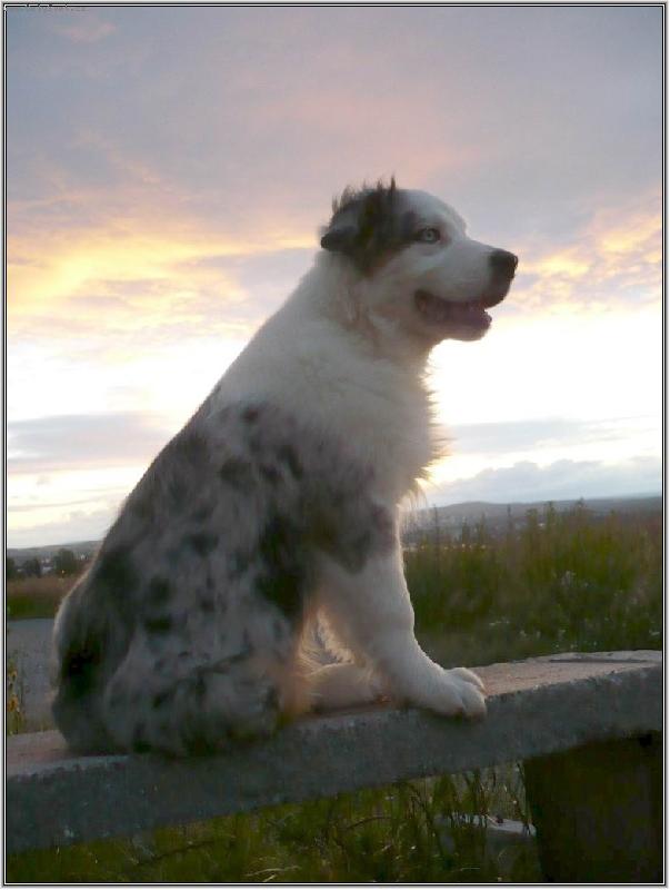 Foto: už sluníčko zachází