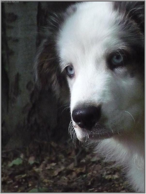 Foto: soustředím se...nerušit