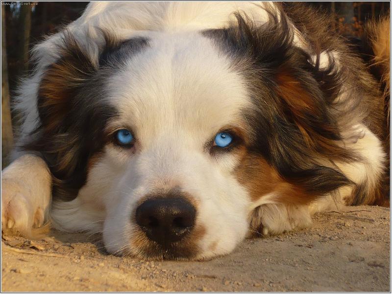 Foto: je to prostě Lexík