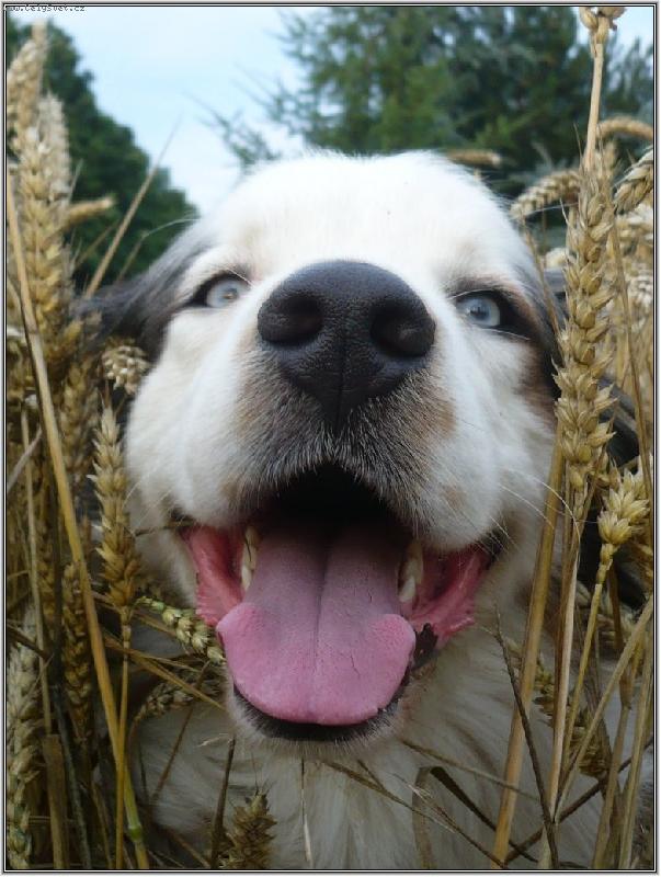 Foto: ááá...našel jsem tě