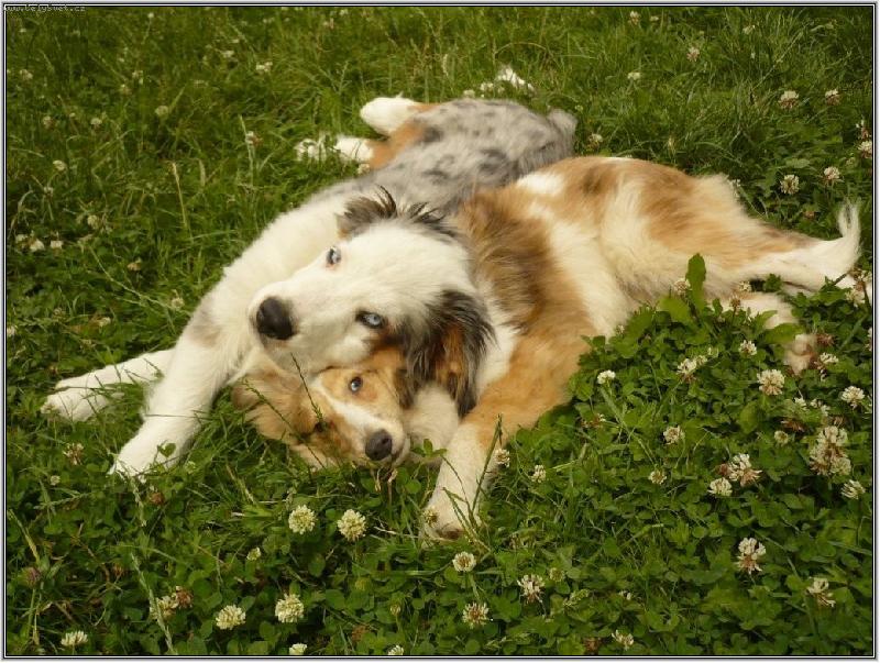 Foto: tak jsem si pořídil polštář