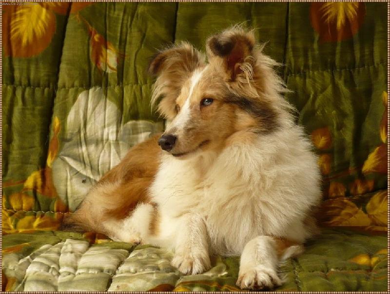 Foto: Bordyho pohodový den