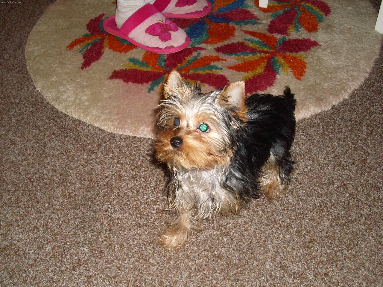 Foto: naša miminko-to sem já Jesika