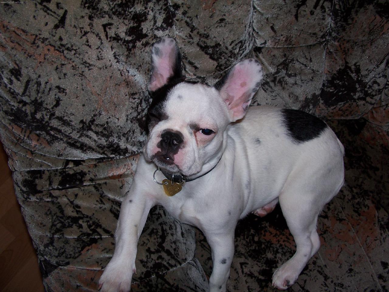 Foto: Bára-To ja ale pohoda!