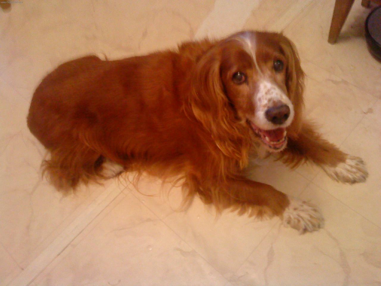 Foto: Britta-Bišulka 13 let