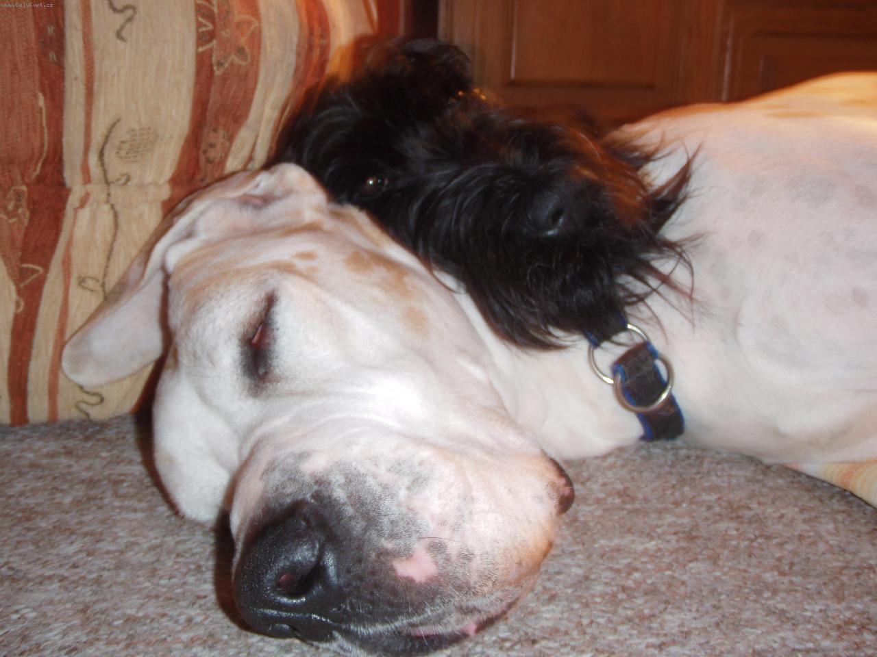 Foto: Zackie Bitt Box