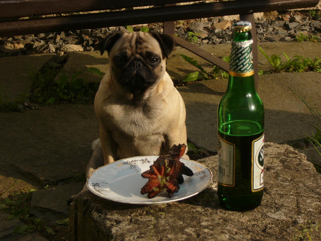 Foto: to bude dobrůtka