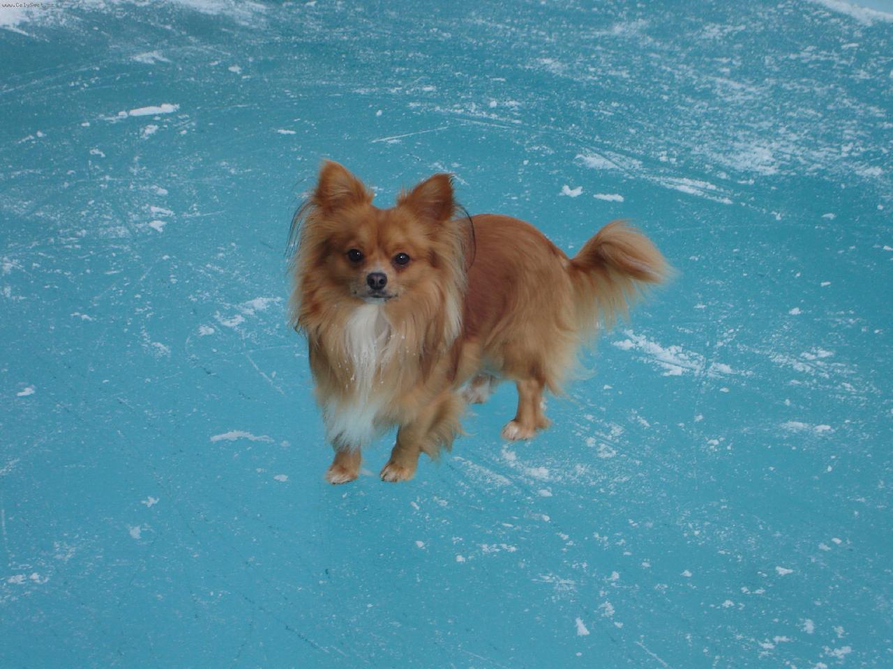 Foto: Luckysek-To koukáte, co ;-)