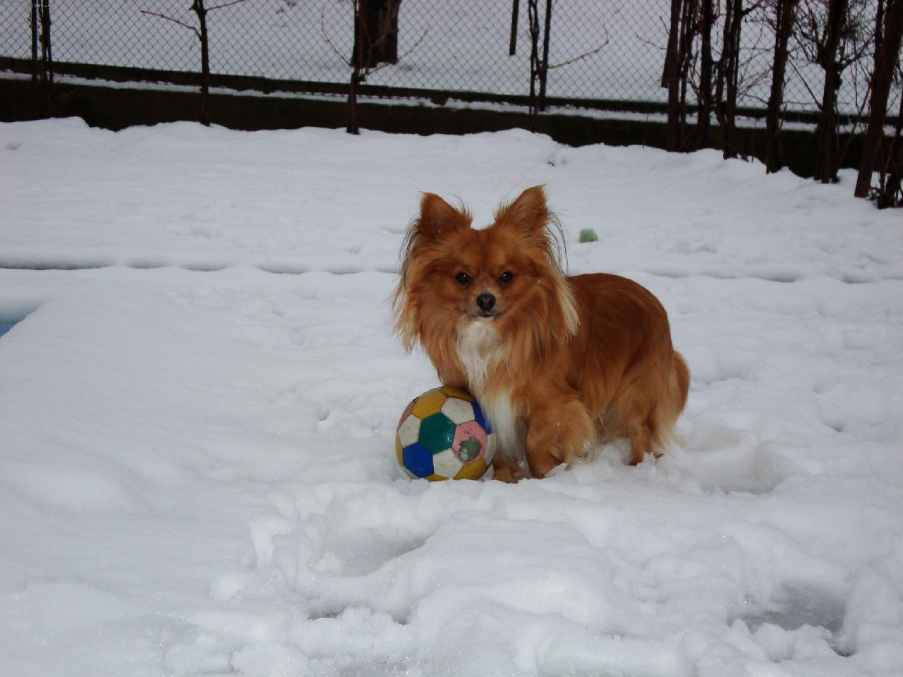 Foto: Lucky-Jednou ze mě bude fotbalista!