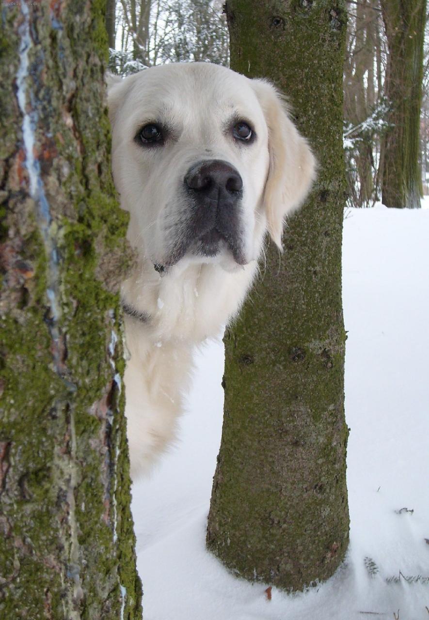 Foto: Domingo de Bismilláhi-Na procházce
