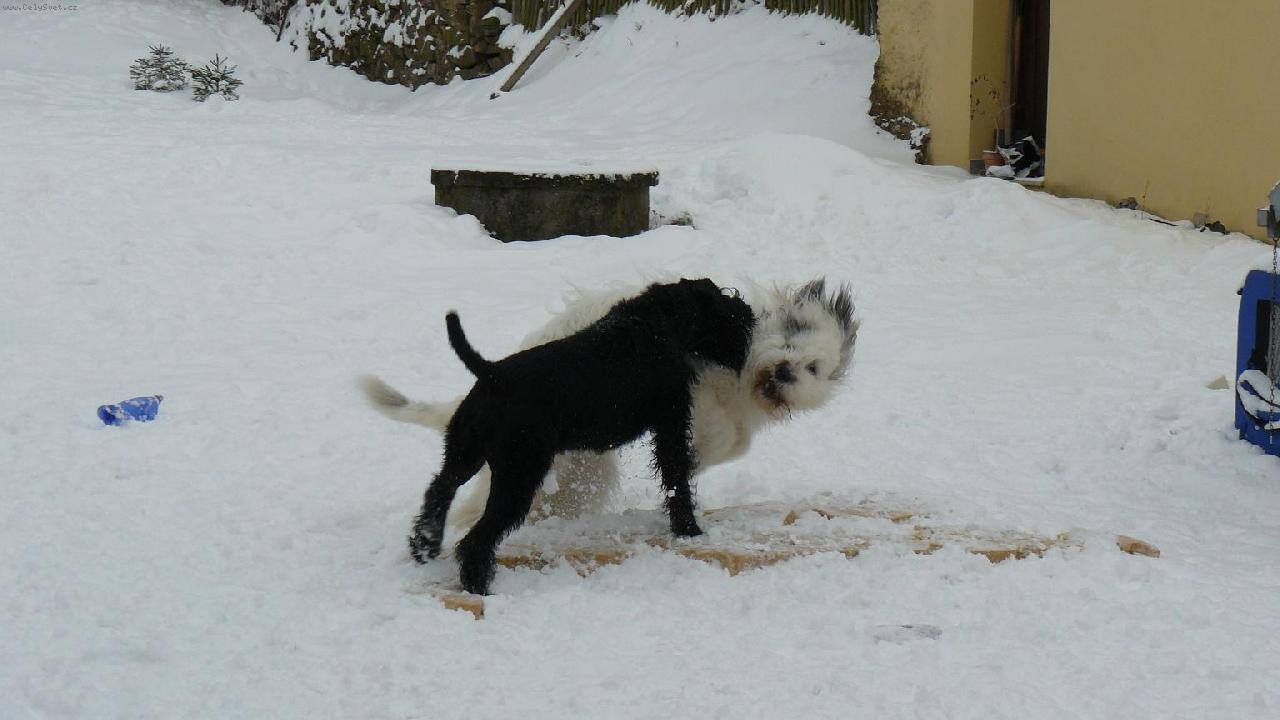 Foto: Brixa a Karča