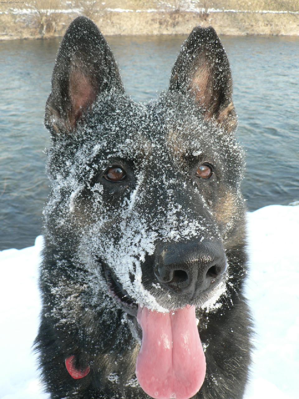 Foto: Gera-Snežná maska