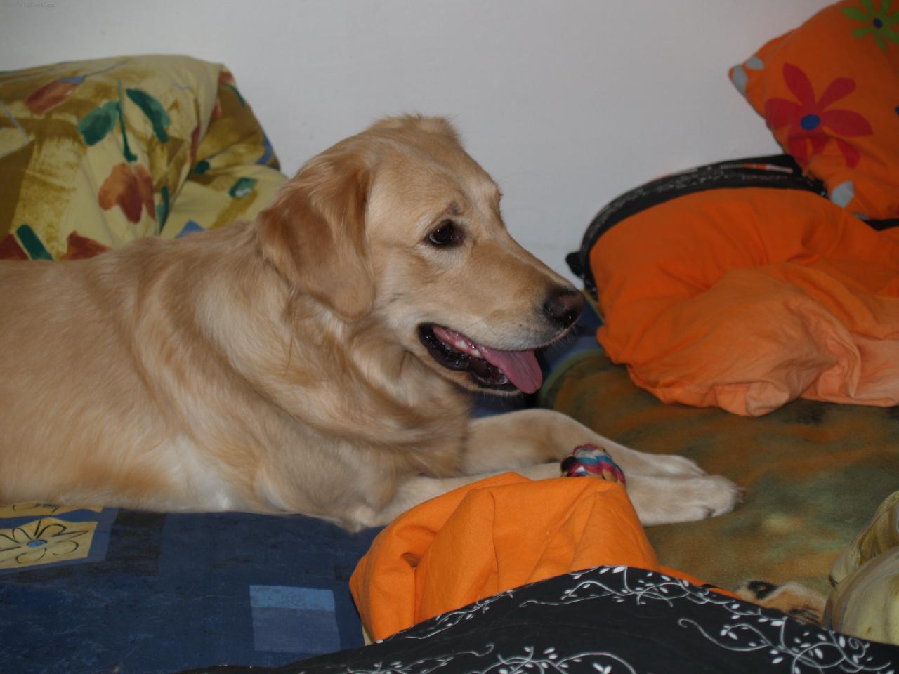 Foto: Tammi-hajá a čeká :)