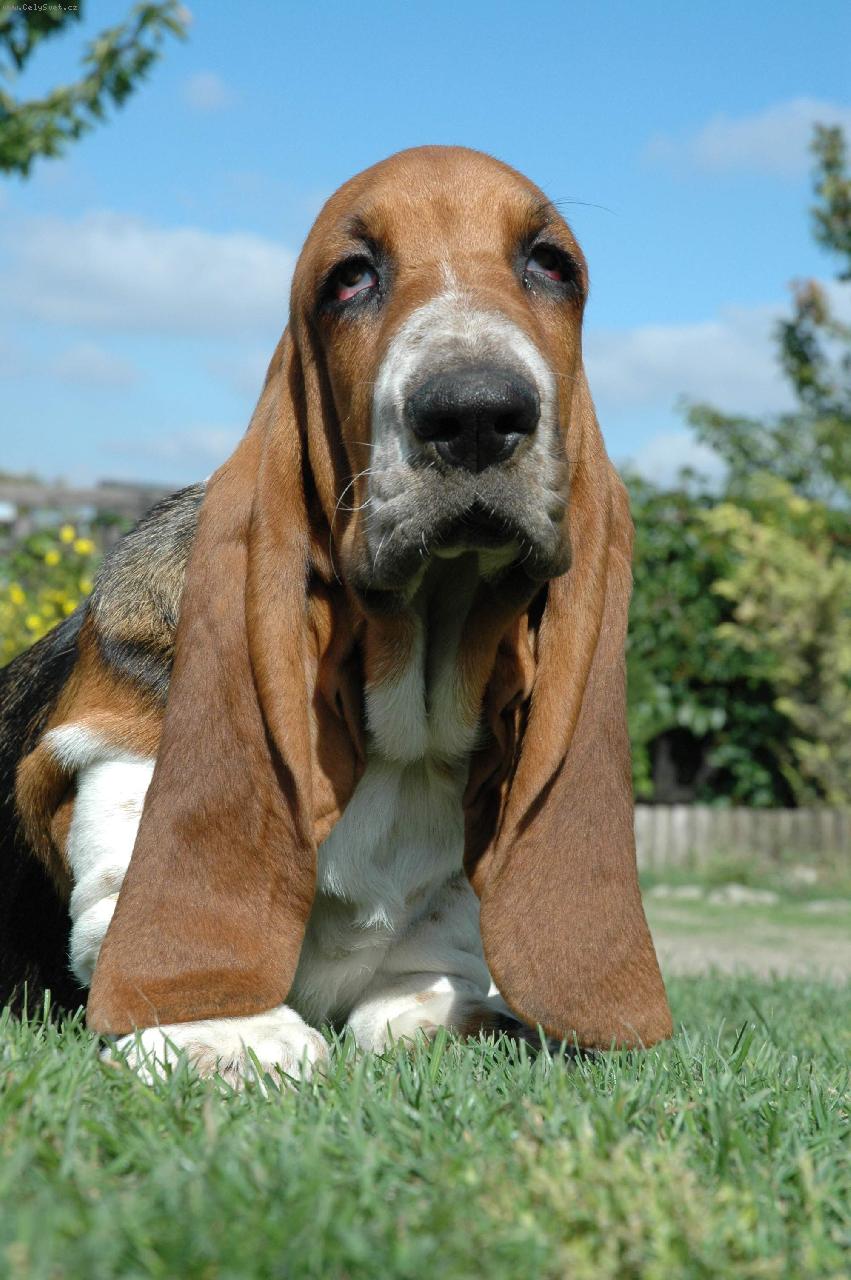 Foto: Gucci Lady Barnett´s