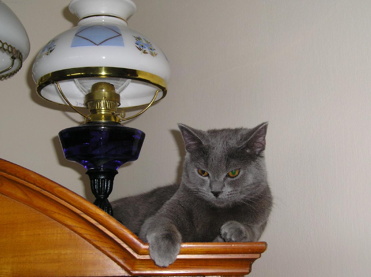 Foto: to je pohodička