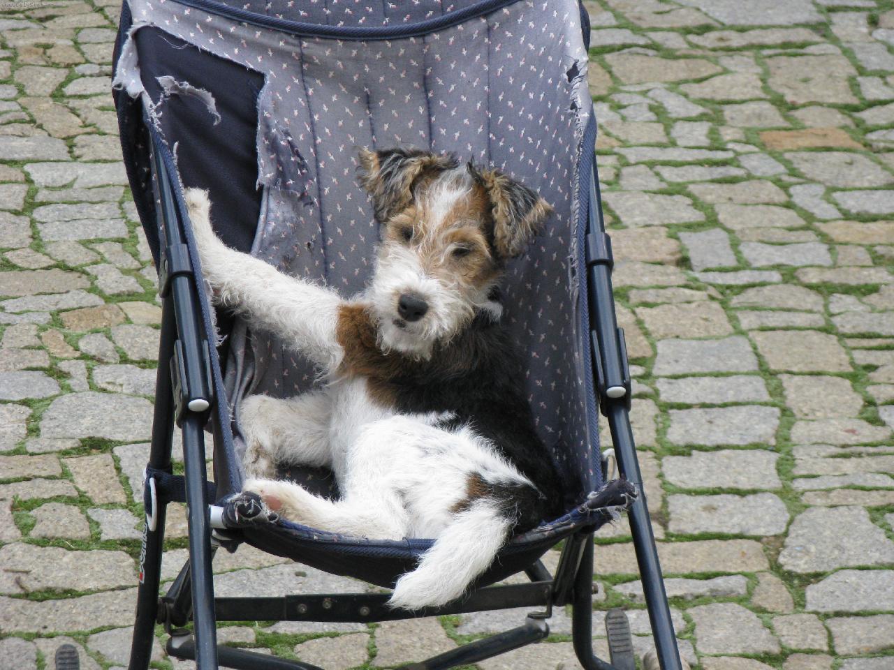 Foto: Anny odpočívá