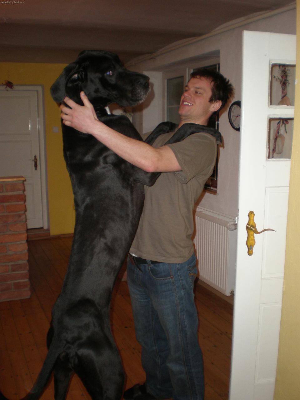 Foto: Coffi-Kdo je větší