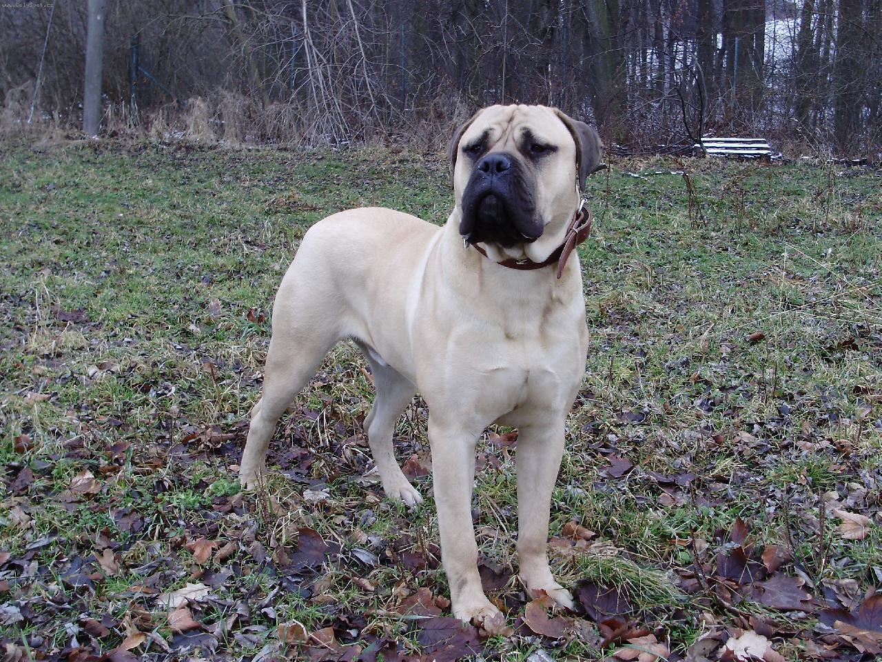 Foto: Gordon Naděje ze Zvole