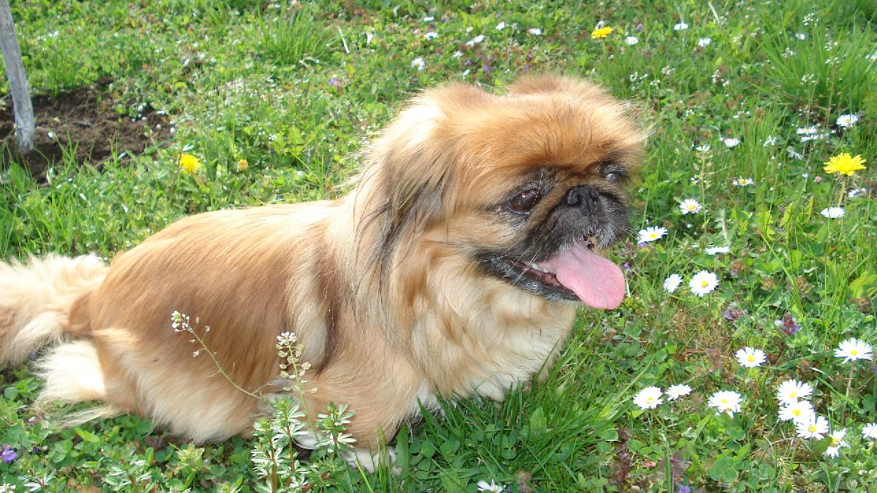 Foto: přišlo jaro-peggy