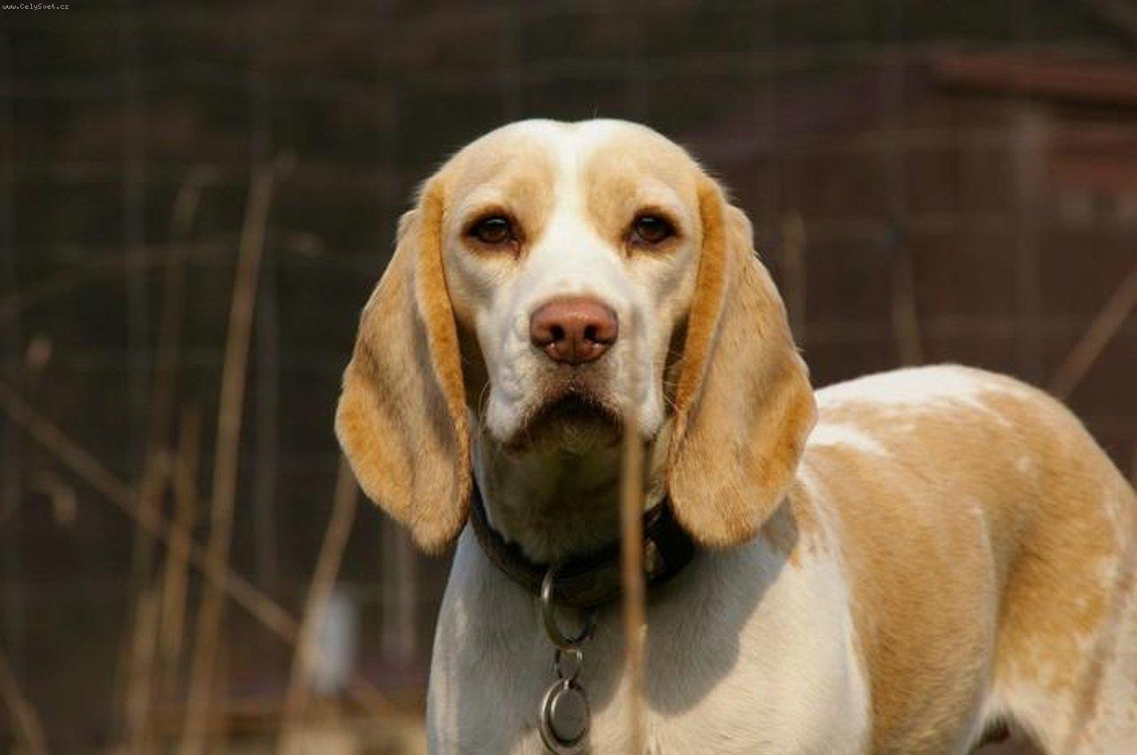 Foto: Lillynka-Princezna Lijánka