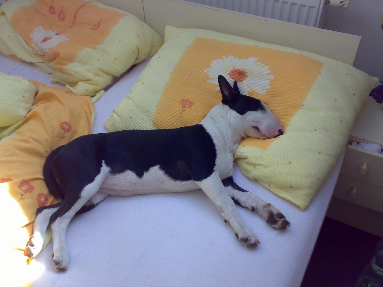 Foto: Agáta-Odpočívám