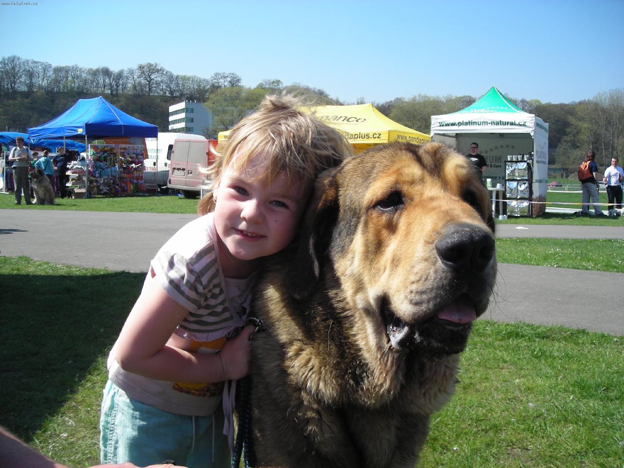 Foto: CHS z Polabských blat-ARGENTO Con Fundo a Maruška