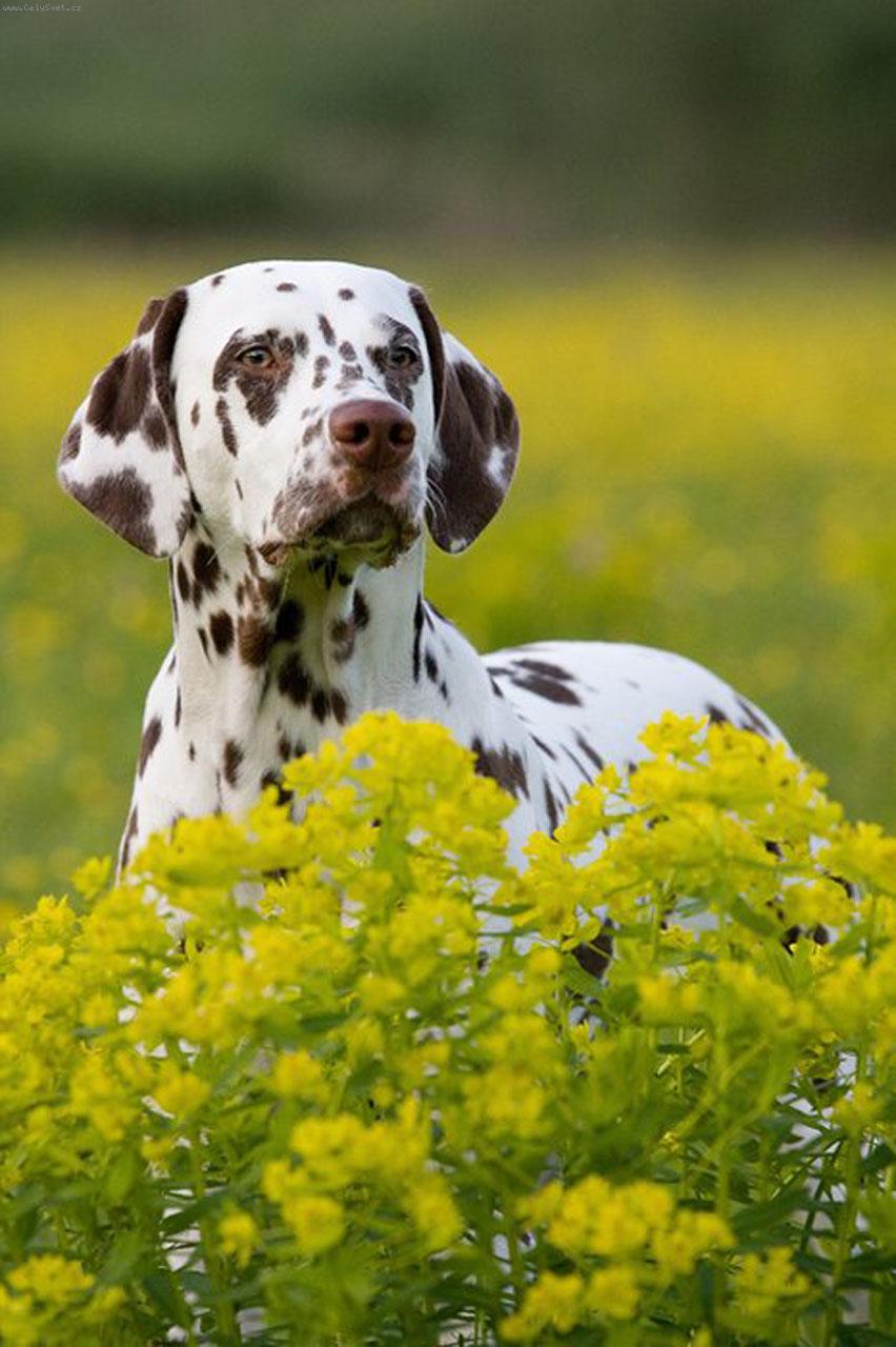 Foto: Kyrunka-Autor Lenka Daňková