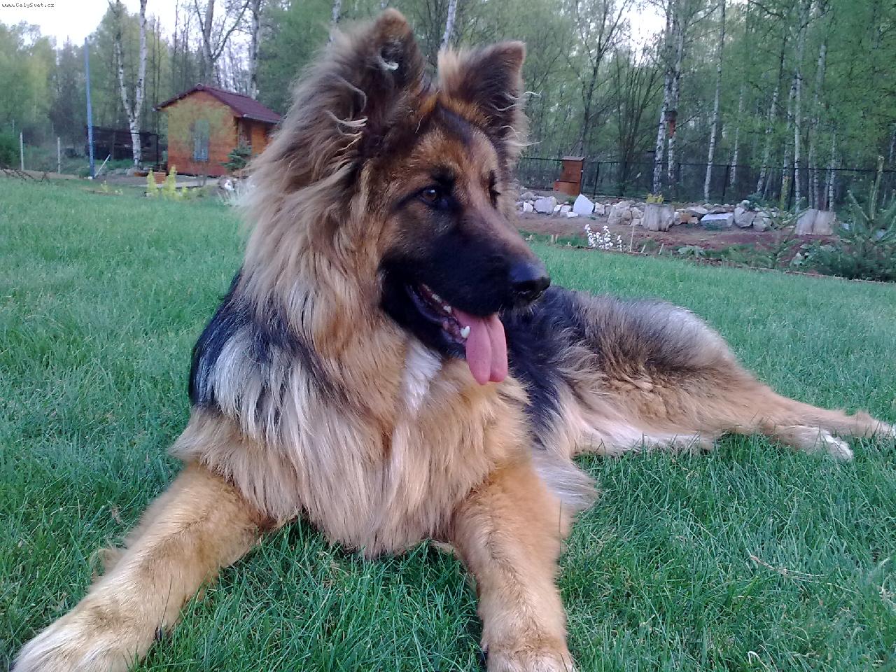 Foto: Dixinka 9měsíců