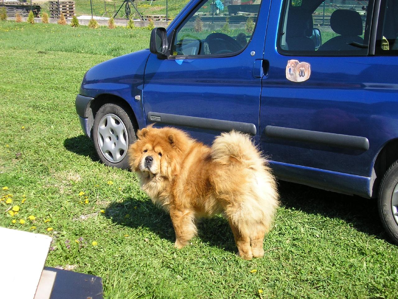 Foto: moje autíčko