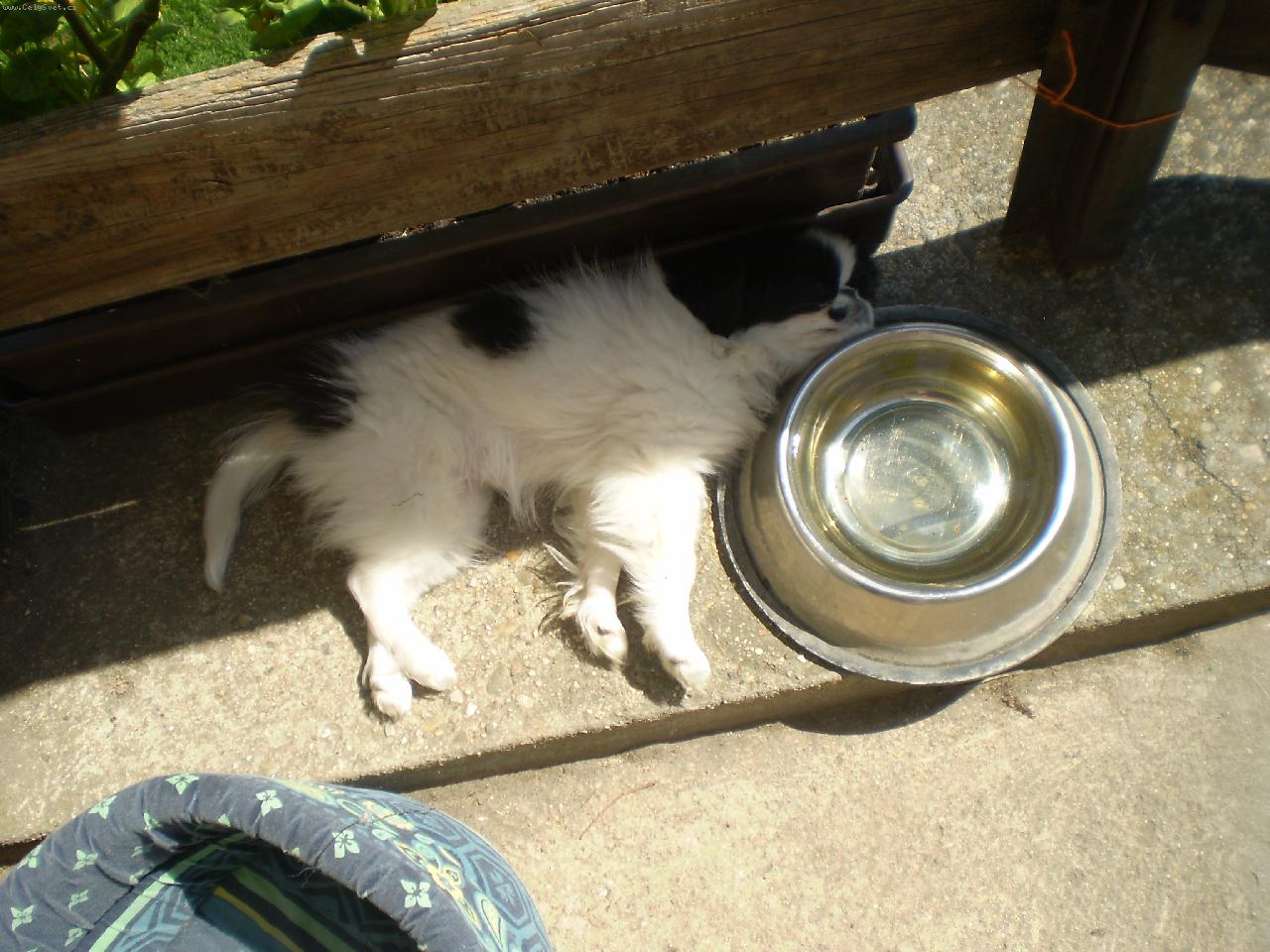 Foto: Až se vzbudím napiji se