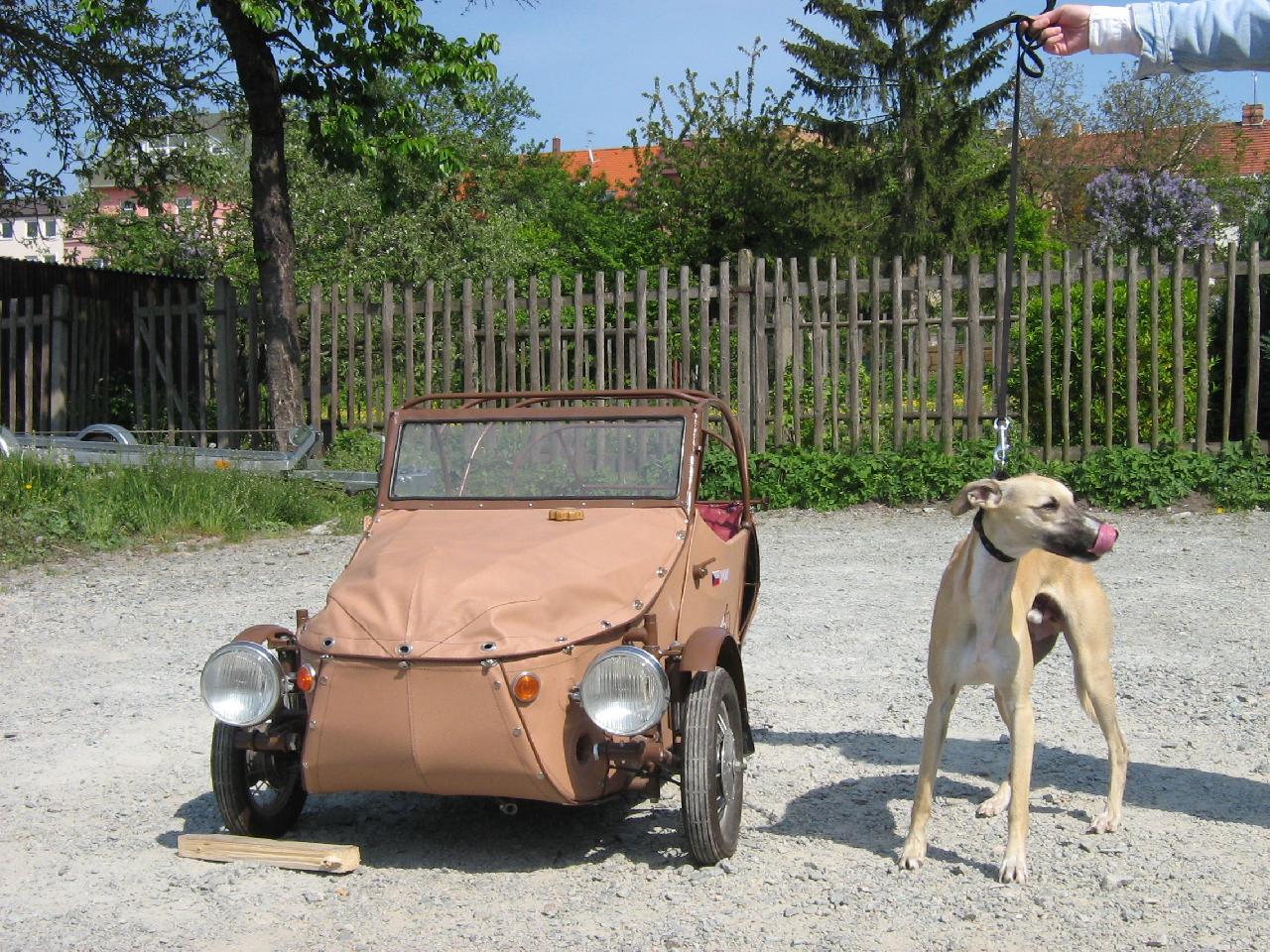 Foto: Alconnor Deixes-velký