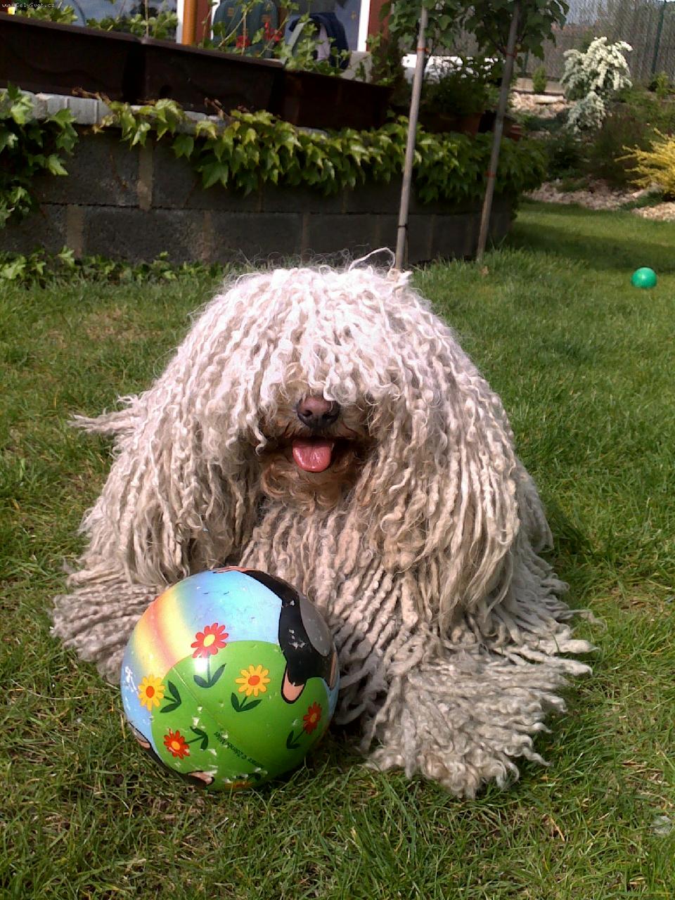 Foto: Lenke s balónkem