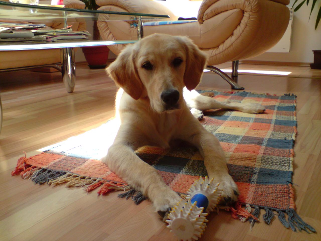 Foto: Laura-To je moje a nikomu to nedám.