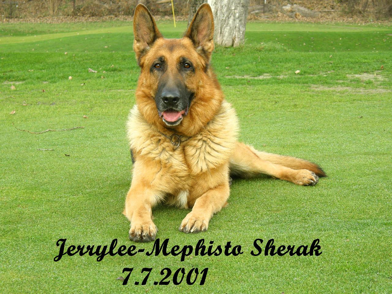 Foto: Jerrylee-Mephisto Sherak-tady mě máte