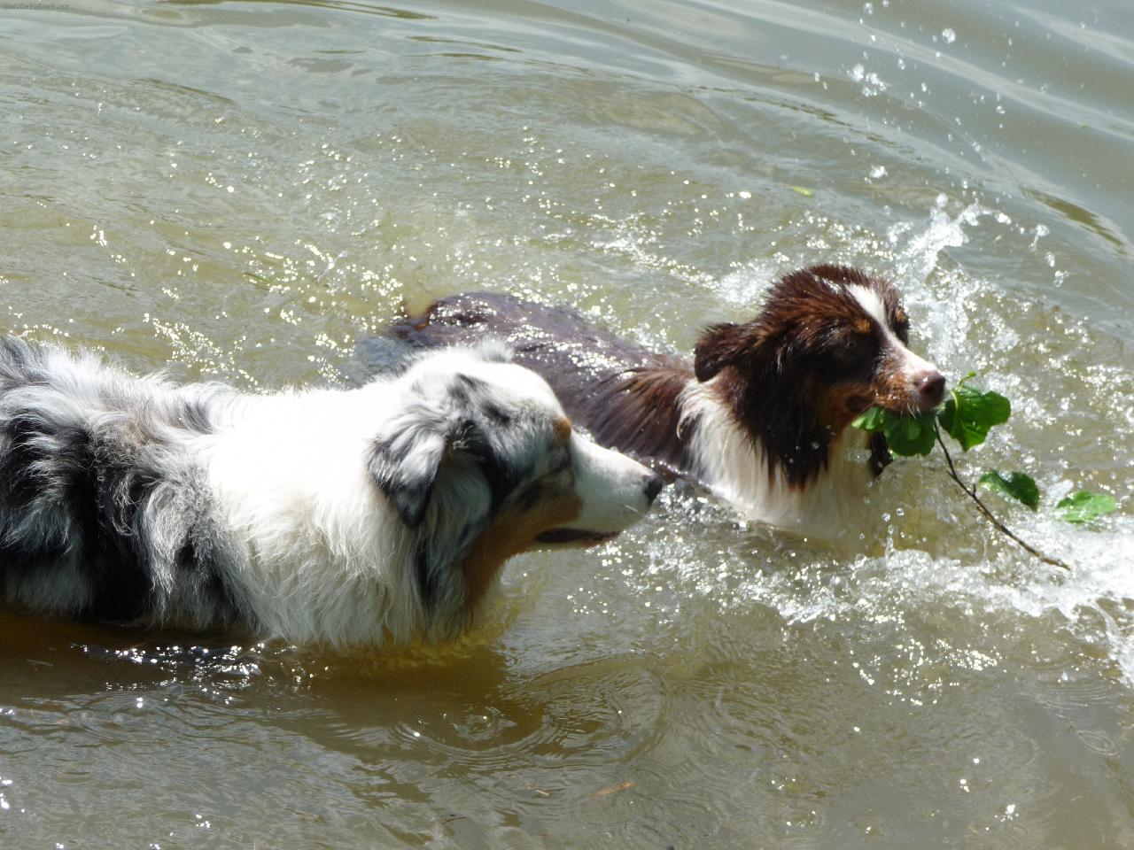 Foto: Mňam, mňam...